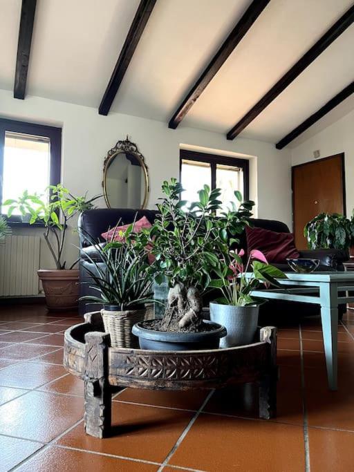 Apartment In Villa La Carruba Rivergaro Exteriör bild