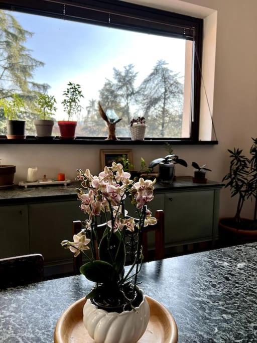 Apartment In Villa La Carruba Rivergaro Exteriör bild